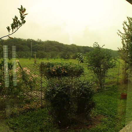 Countryside B&B Ruisui Zimmer foto